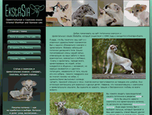 Tablet Screenshot of ekstasia.ru